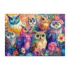 Wooden Jigsaw Puzzle - Colored Owl