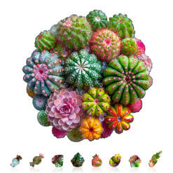 Alternative view of Wooden Jigsaw Puzzle – Cactus and Succulents