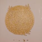 Wooden Jigsaw Puzzle-Phoenix