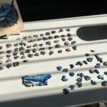 Wooden Jigsaw Puzzle-Fierce Shark